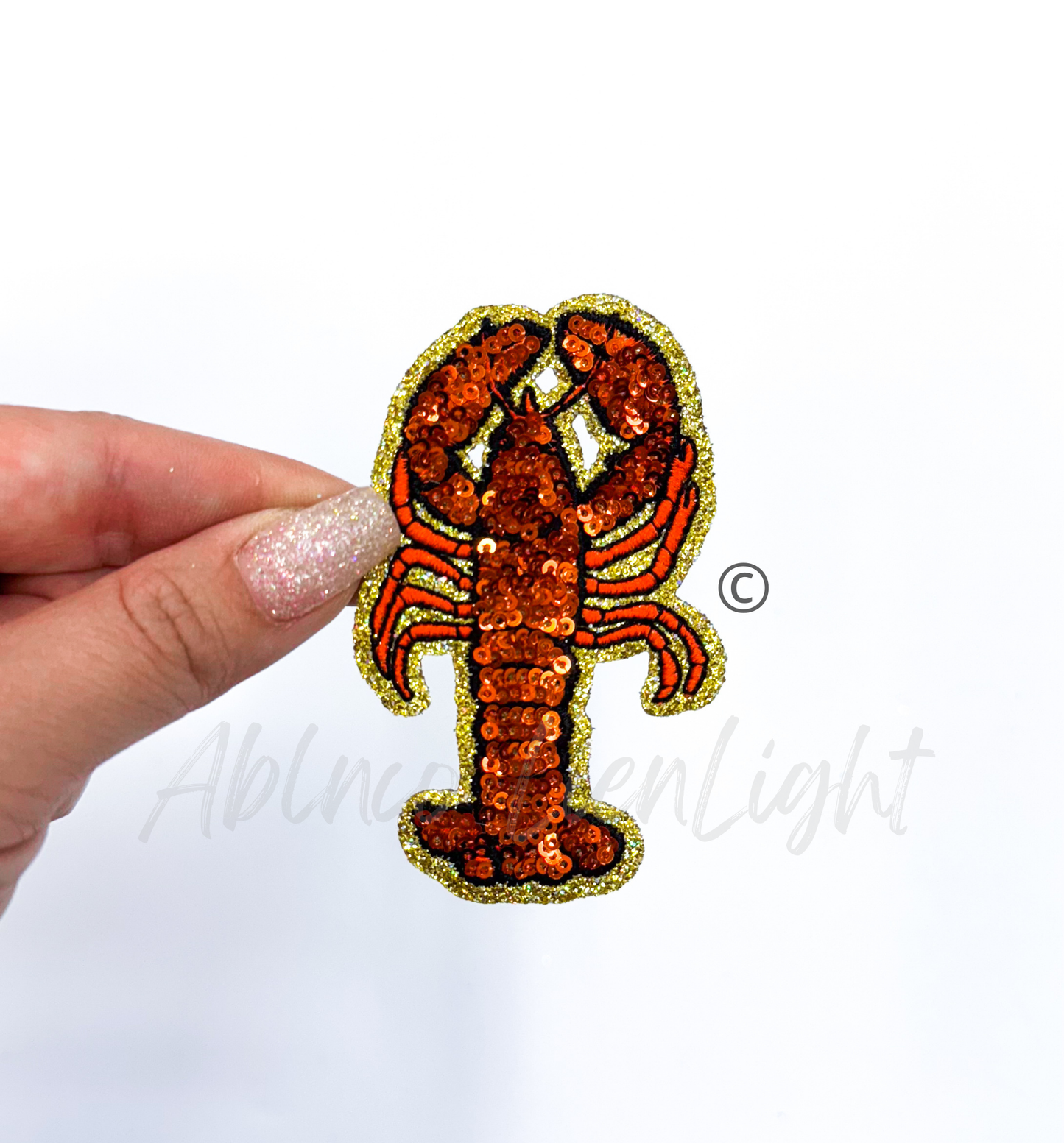 Crawfish Fishing Sequin Patch - 3”