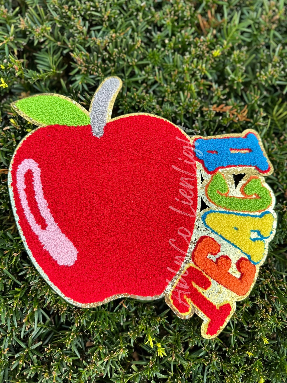 Colorful Teach Apple Patch