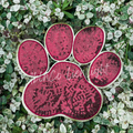 Big Maroon Sequin Paw Print Patch