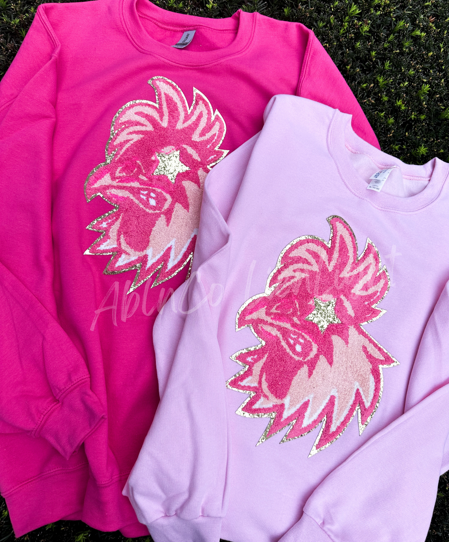 PREPPY PINK MASCOT™ Gamecock Chenille Patch ONLY Sweatshirt