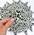 White Leopard Print Star Patch