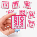 Big Sis Pink Embroidered Dog Patch